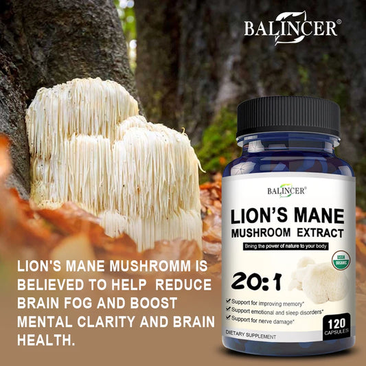 BioHack Balincer Lion’s Mane Mushroom Extract Supplement – Brain, Mood, and Sleep Health